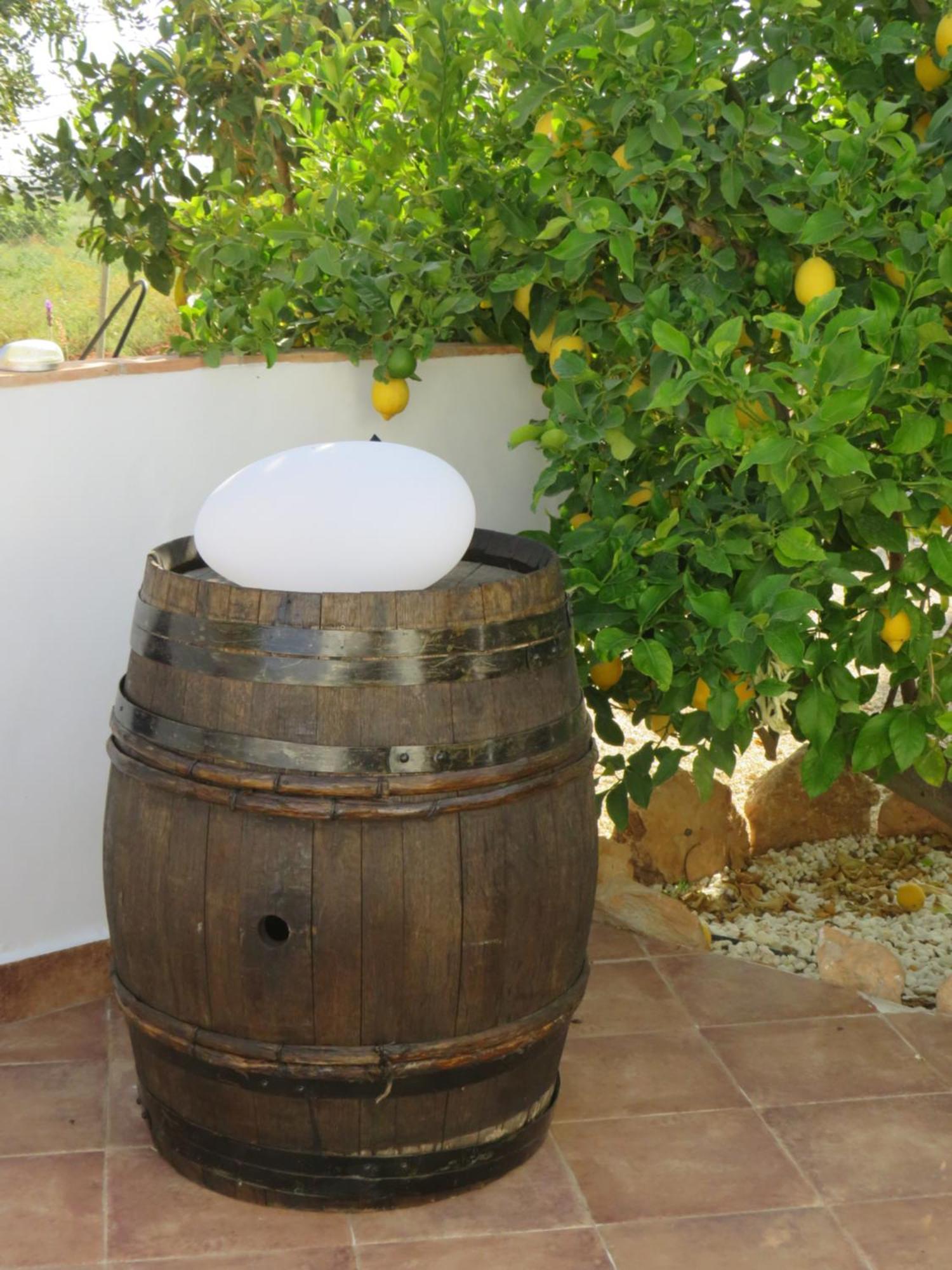 B&B Finca La Manchica Cartagena Exterior photo